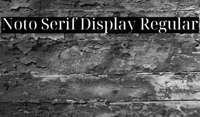 Noto Serif Display Regular Font examples