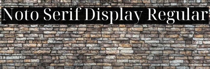 Noto Serif Display Regular Example 2