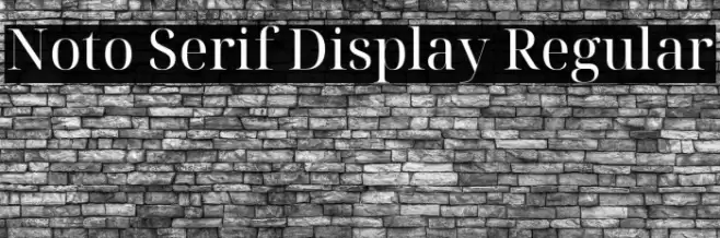 Noto Serif Display Regular Font examples