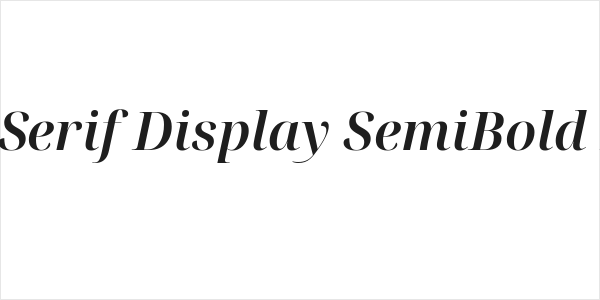 Noto Serif Display SemiBold Italic Logo