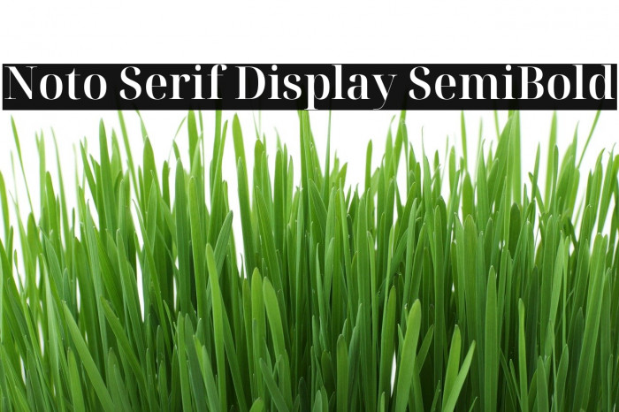 Noto Serif Display SemiBold Font examples