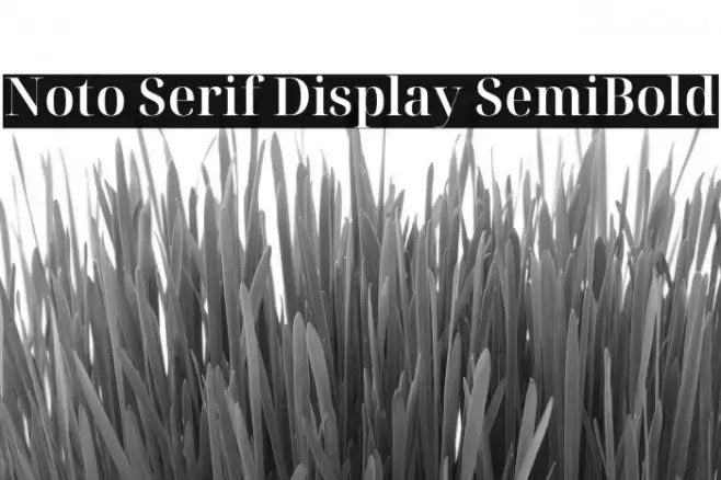 Noto Serif Display SemiBold Example 2
