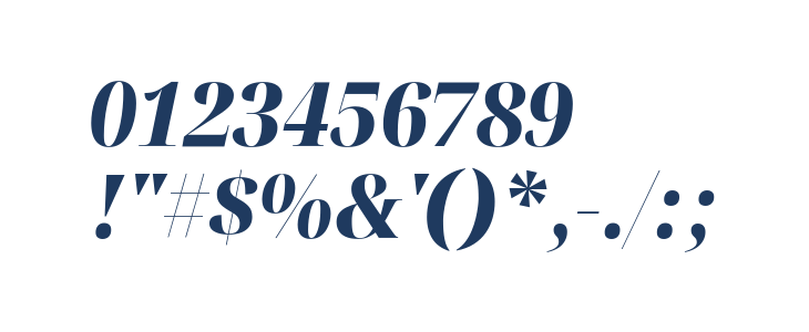 Noto Serif Display SemiCondensed Black Italic Other Characters