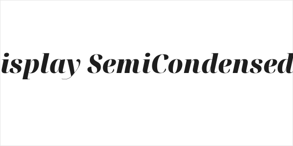 Noto Serif Display SemiCondensed Black Italic Logo