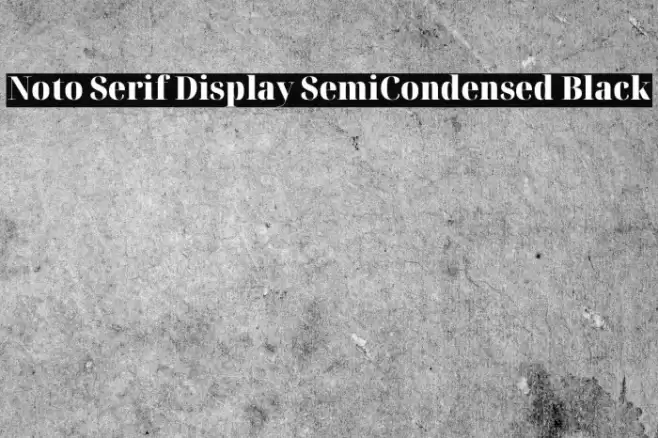 Noto Serif Display SemiCondensed Black Font examples
