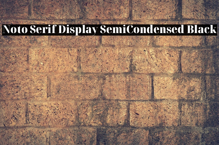 Noto Serif Display SemiCondensed Black Font examples