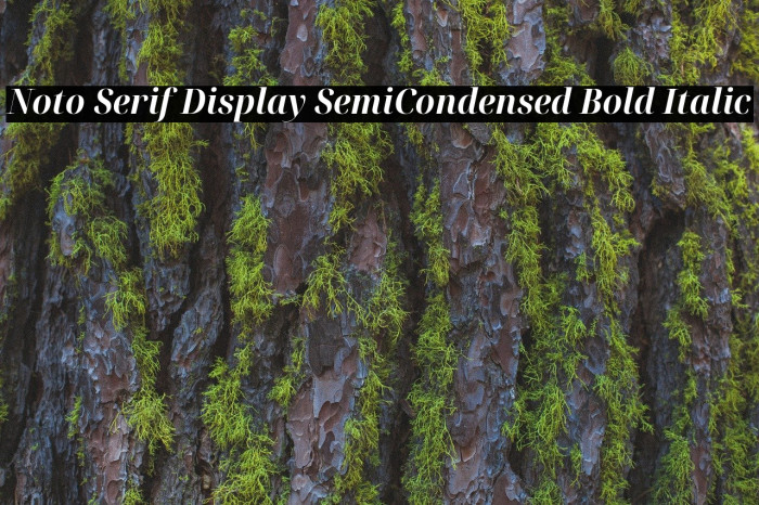 Noto Serif Display SemiCondensed Bold Italic Font examples