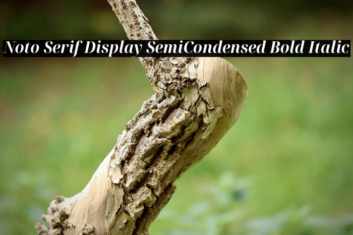 Noto Serif Display SemiCondensed Bold Italic Font examples