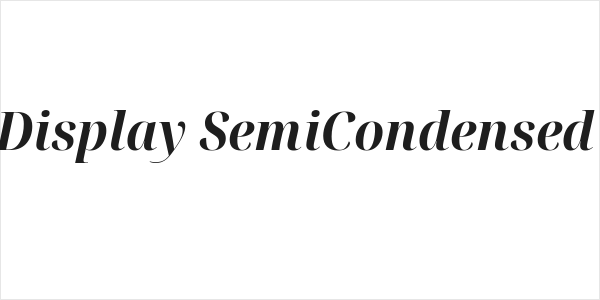 Noto Serif Display SemiCondensed Bold Italic Logo