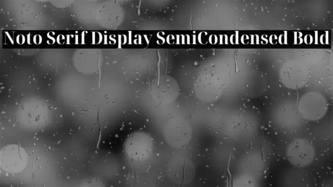 Noto Serif Display SemiCondensed Bold Font examples