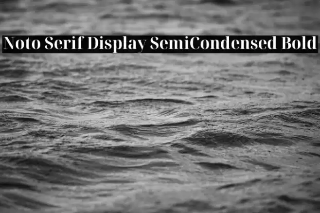 Noto Serif Display SemiCondensed Bold Font examples
