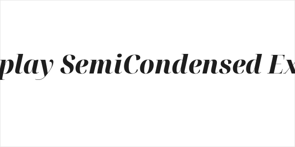Noto Serif Display SemiCondensed ExtraBold Italic Logo
