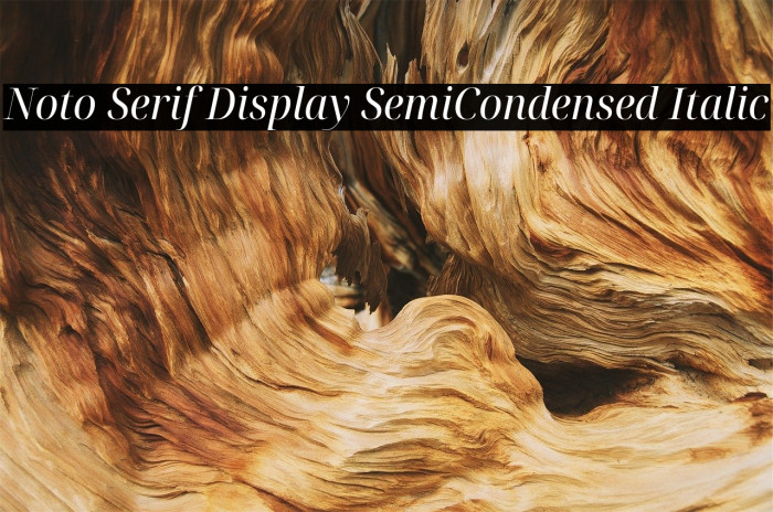 Noto Serif Display SemiCondensed Italic Font examples