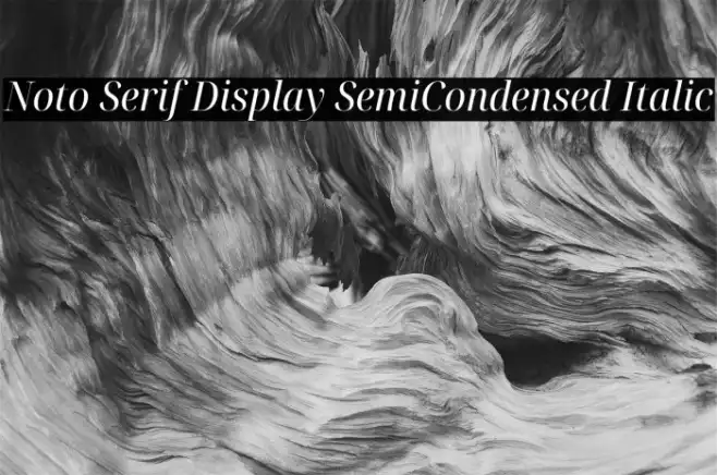 Noto Serif Display SemiCondensed Italic Example 2