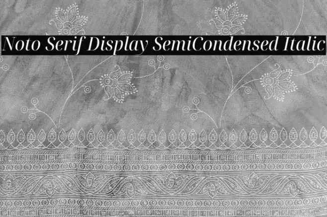 Noto Serif Display SemiCondensed Italic Example 3