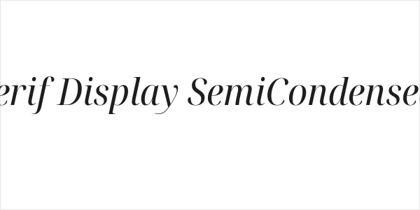 Noto Serif Display SemiCondensed Italic Logo