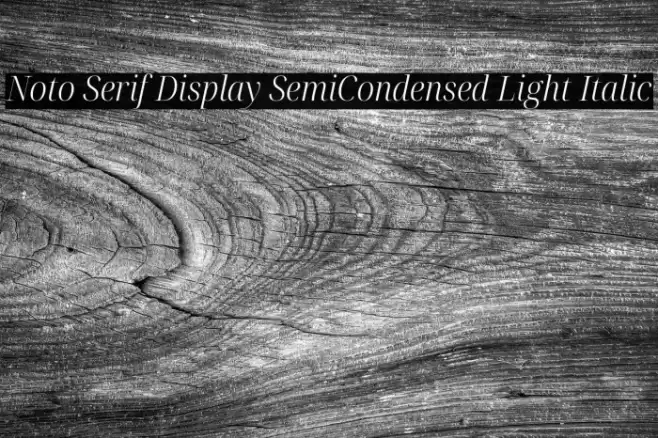 Noto Serif Display SemiCondensed Light Italic Font examples