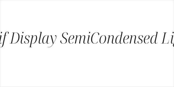 Noto Serif Display SemiCondensed Light Italic Logo