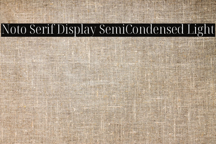 Noto Serif Display SemiCondensed Light Example 3