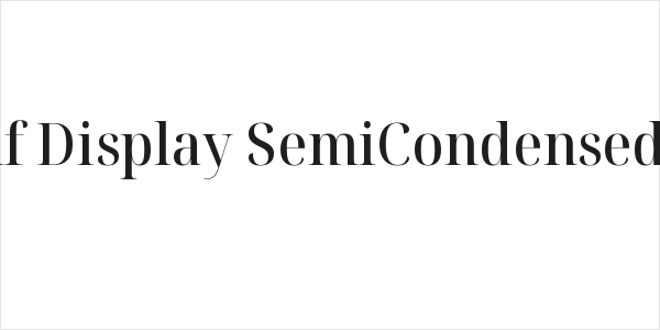Noto Serif Display SemiCondensed Medium Logo