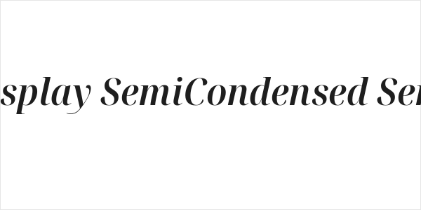 Noto Serif Display SemiCondensed SemiBold Italic Logo