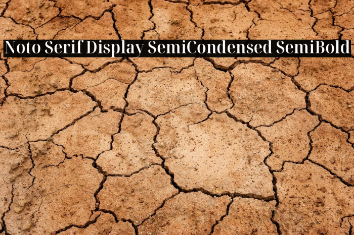 Noto Serif Display SemiCondensed SemiBold Font examples