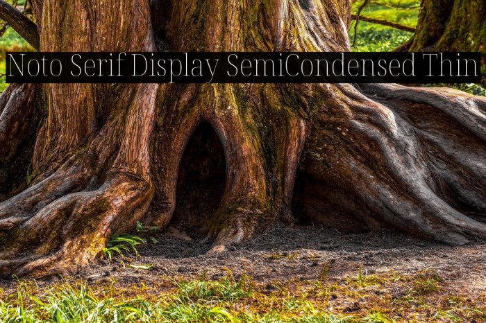 Noto Serif Display SemiCondensed Thin Example 1