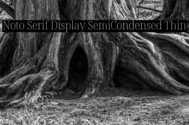 Noto Serif Display SemiCondensed Thin Font examples