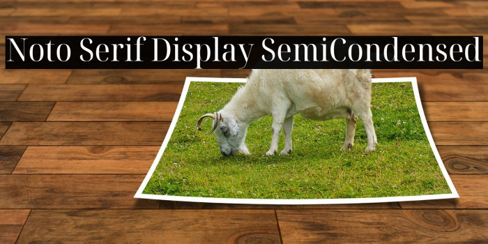 Noto Serif Display SemiCondensed Font examples