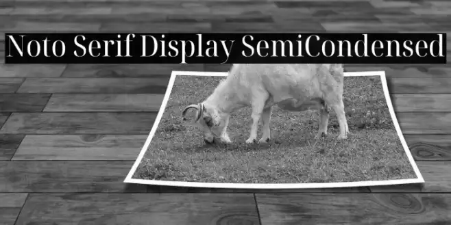 Noto Serif Display SemiCondensed Example 1