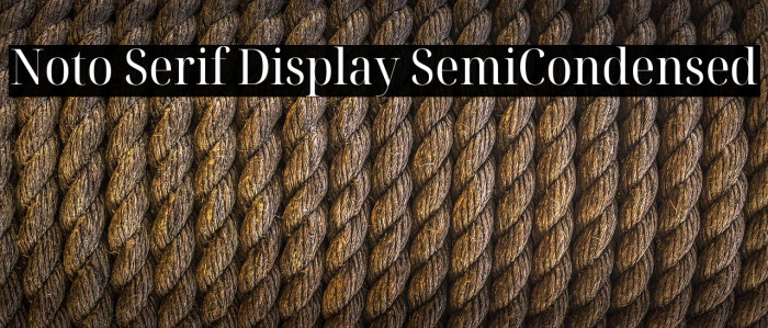 Noto Serif Display SemiCondensed Font examples
