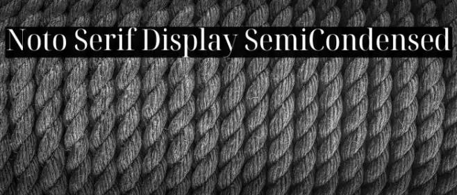 Noto Serif Display SemiCondensed Example 2
