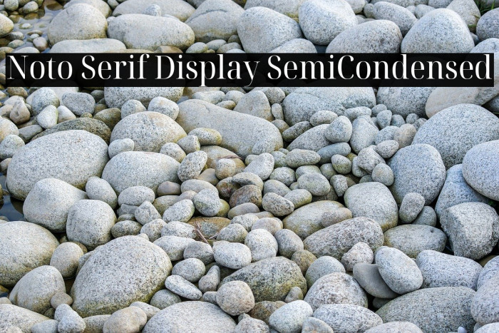 Noto Serif Display SemiCondensed Font examples