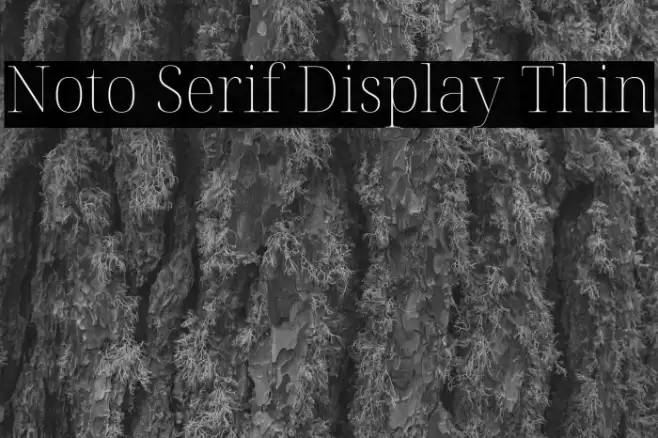 Noto Serif Display Thin Font examples