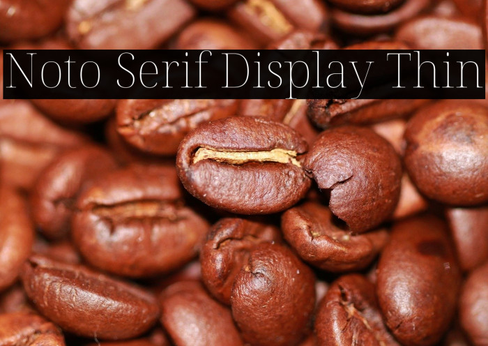 Noto Serif Display Thin Font examples
