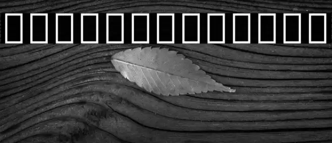 Noto Serif Ethiopic Condensed Light Font examples