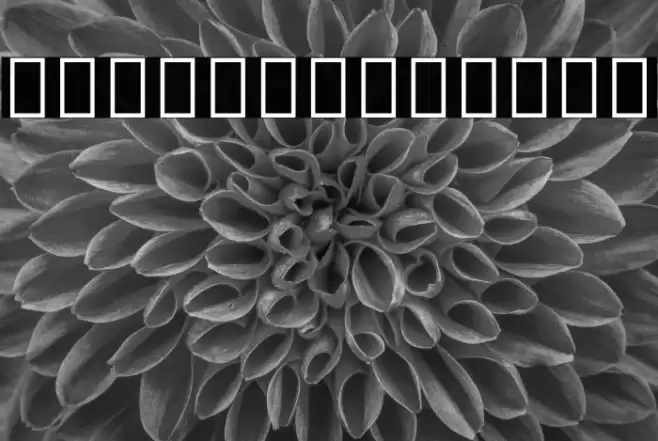 Noto Serif Ethiopic ExtraBold Font examples