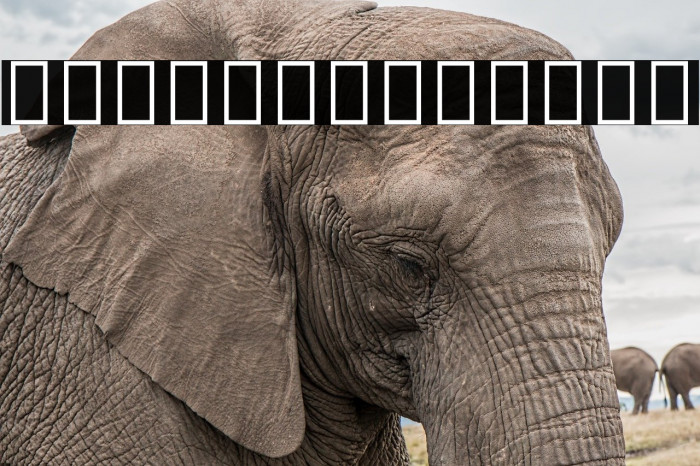 Noto Serif Ethiopic ExtraCondensed SemiBold Example 1