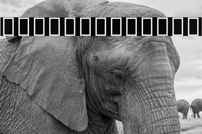 Noto Serif Ethiopic ExtraCondensed SemiBold Font examples