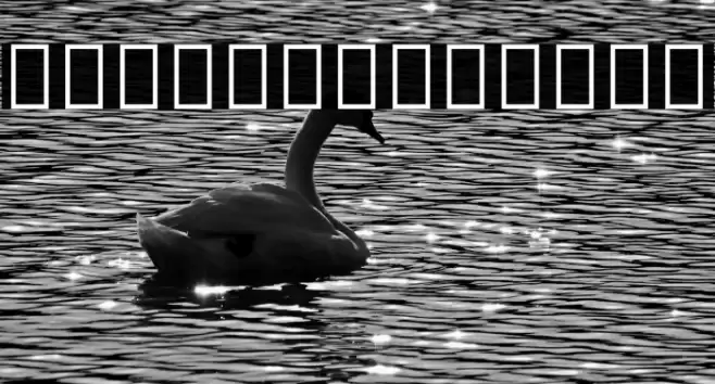 Noto Serif Ethiopic SemiBold Font examples