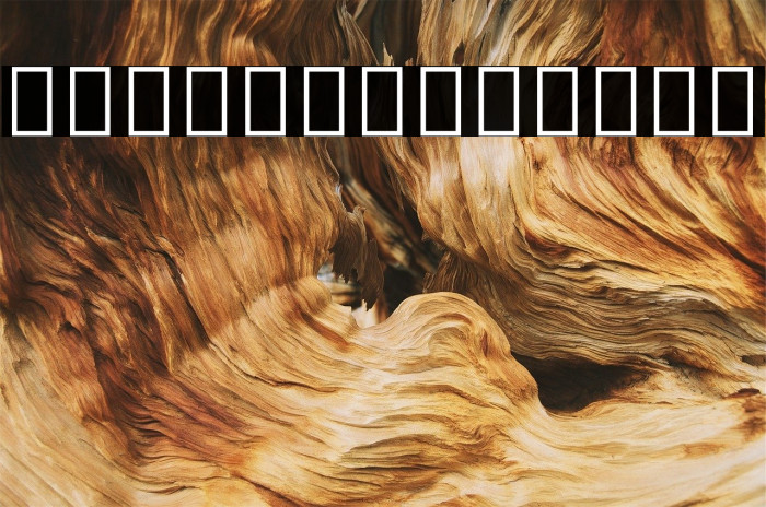 Noto Serif Ethiopic SemiCondensed Bold Example 2