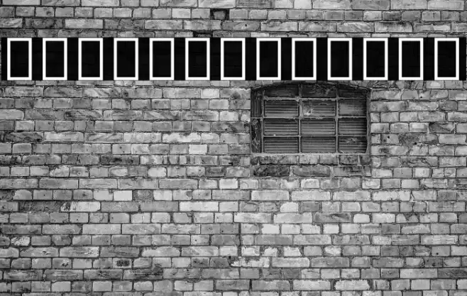 Noto Serif Ethiopic Thin Font examples