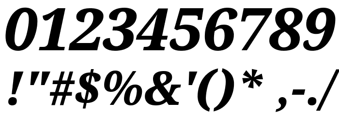 Noto Serif ExtraBold Italic Font OTHER CHARS