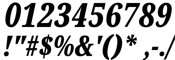 Noto Serif ExtraCondensed Black Italic Font OTHER CHARS