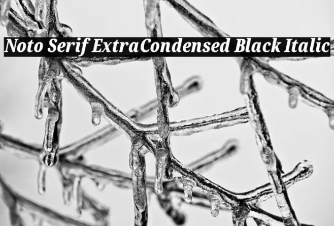 Noto Serif ExtraCondensed Black Italic Example 3