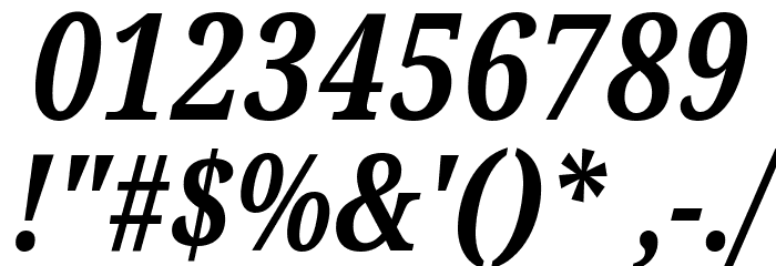 Noto Serif ExtraCondensed Bold Italic Font OTHER CHARS