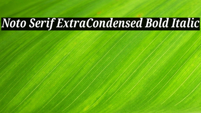 Noto Serif ExtraCondensed Bold Italic Font examples