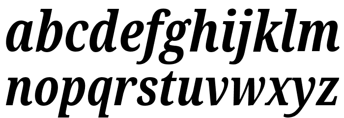 Noto Serif ExtraCondensed Bold Italic Font LOWERCASE