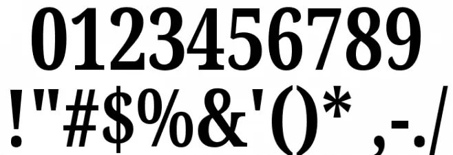 Noto Serif ExtraCondensed Bold Font OTHER CHARS