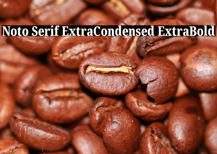 Noto Serif ExtraCondensed ExtraBold Font examples